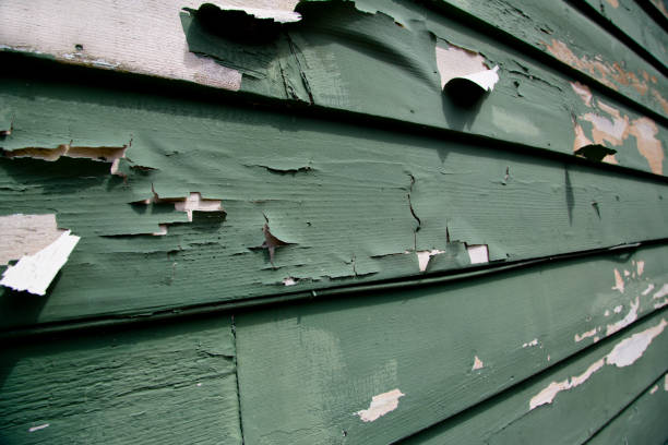Same-Day Junk Removal Services in Lake Delton, WI