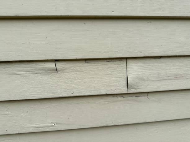 Best Foreclosure Cleanout  in Lake Delton, WI